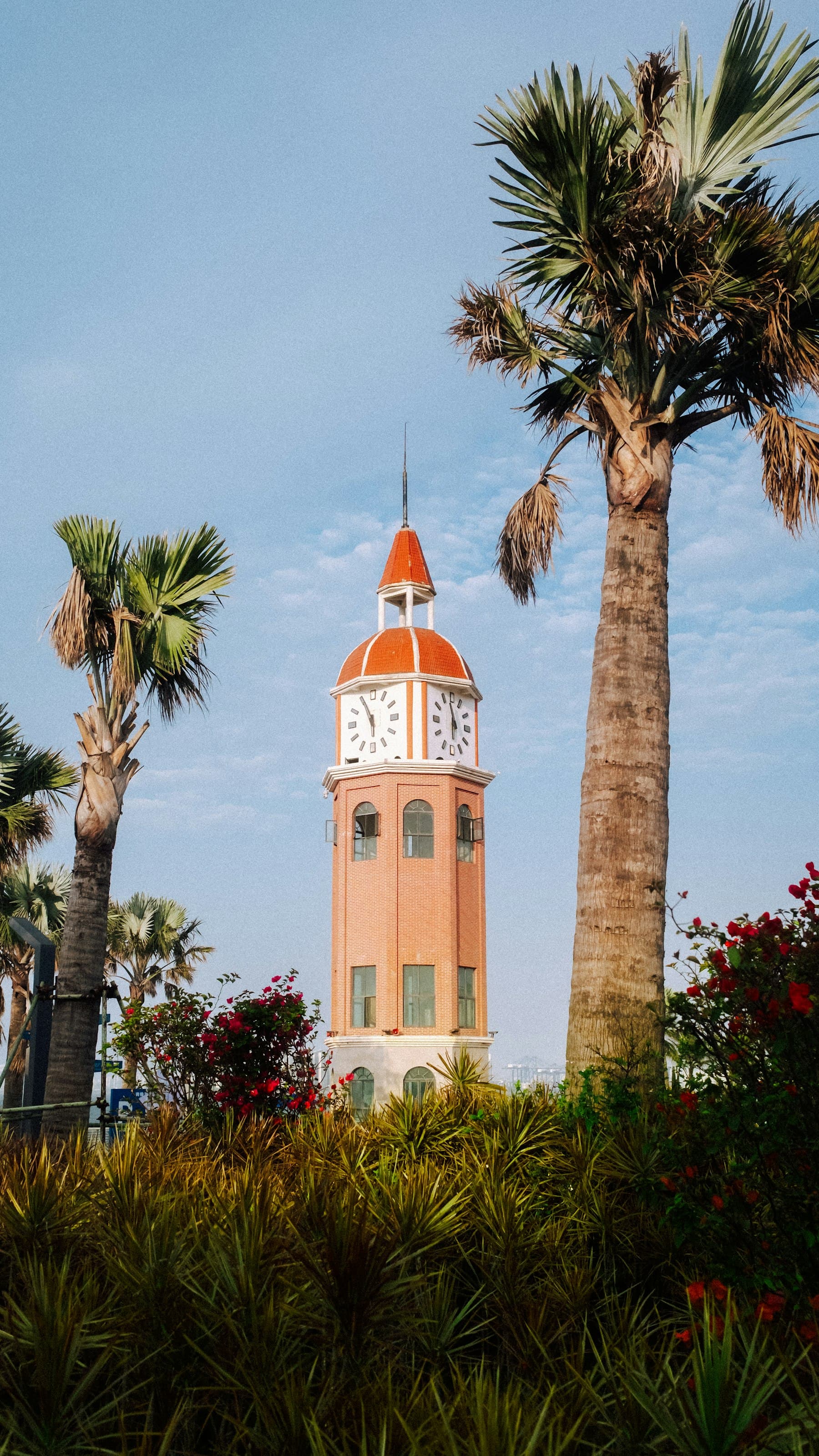 해구의 시계탑과 야자수 풍경